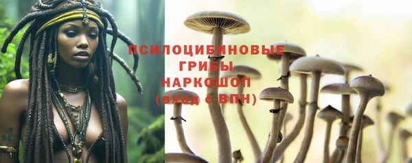 ALPHA PVP Беломорск