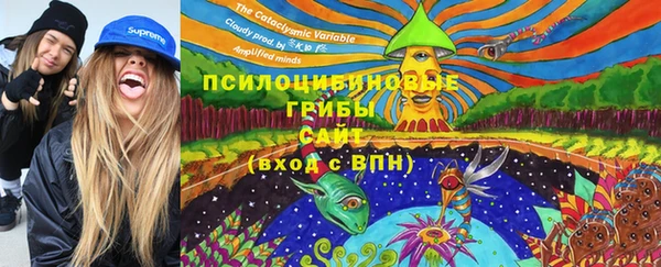 ALPHA PVP Беломорск